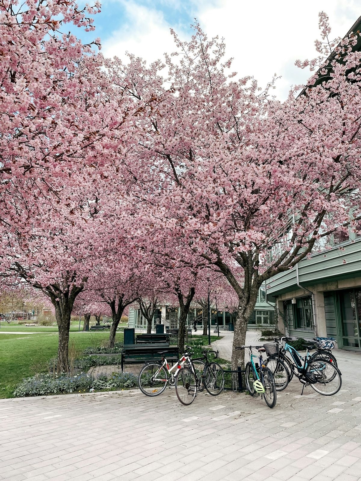 Stockholm University. Photo by Julia Elliot