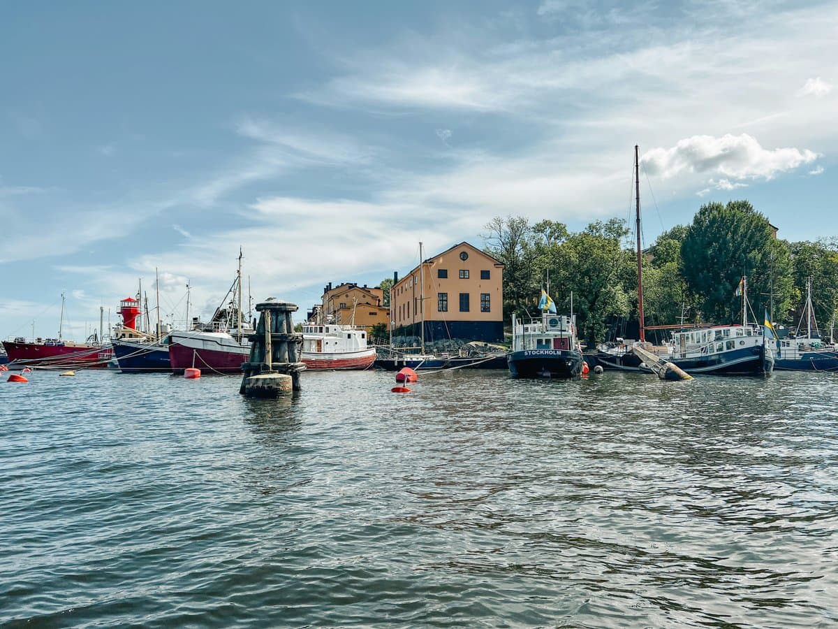 Jag tänkte att vi kunde fira med våfflor i dag.