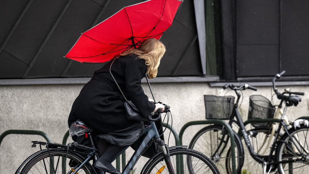 Storm Amy to Bring Heavy Rain and Winds to Sweden This Weekend