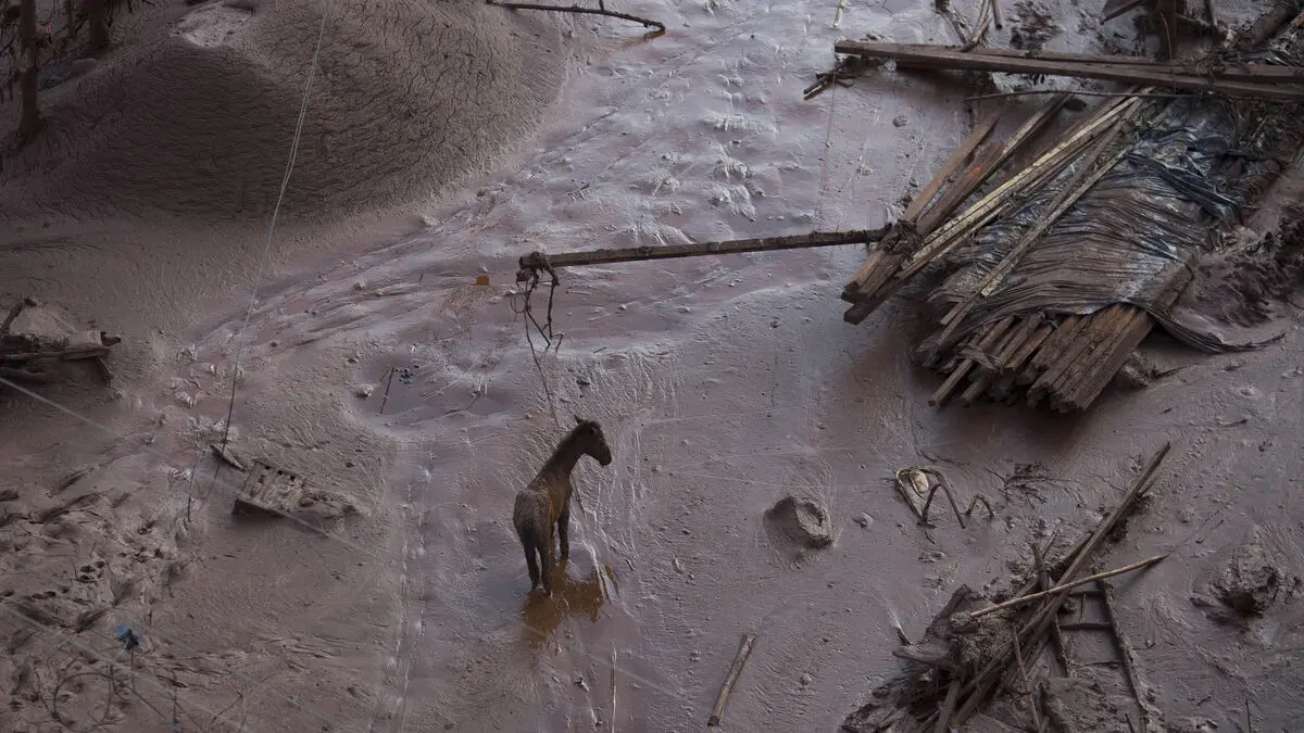 Court: Mining company guilty of environmental disaster