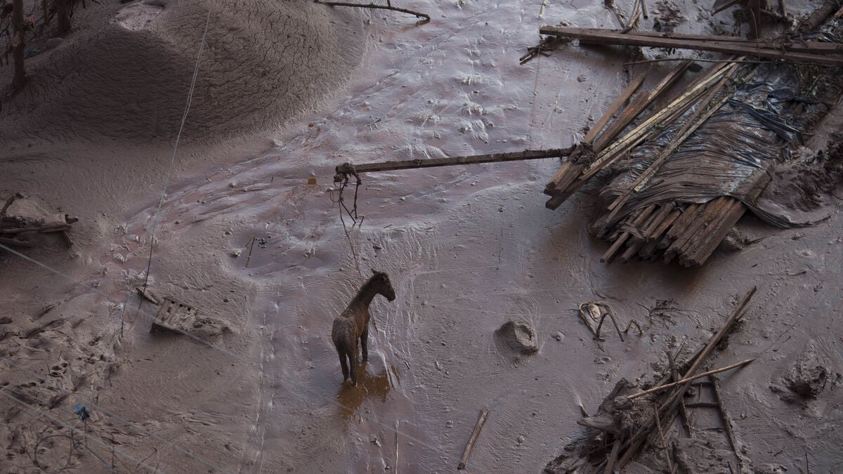 Court: Mining company guilty of environmental disaster
