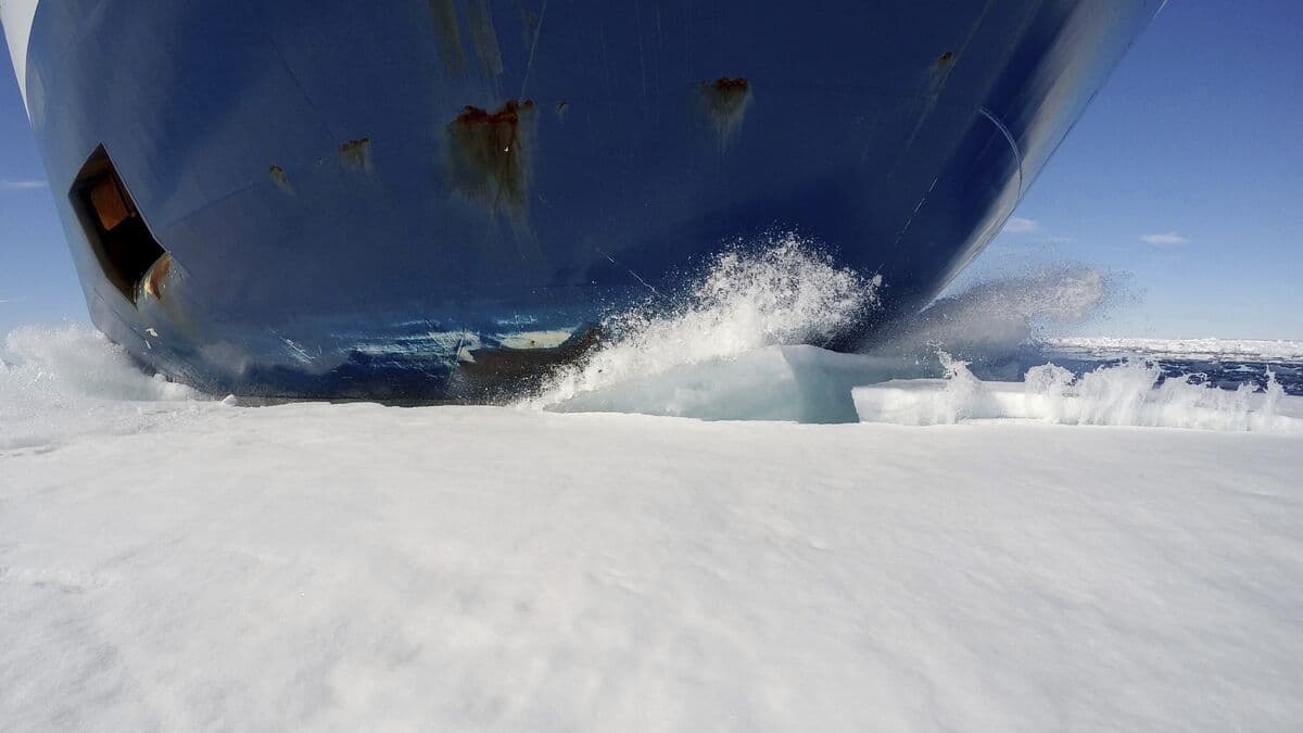 Chinese shipping company launches regular Arctic route to UK