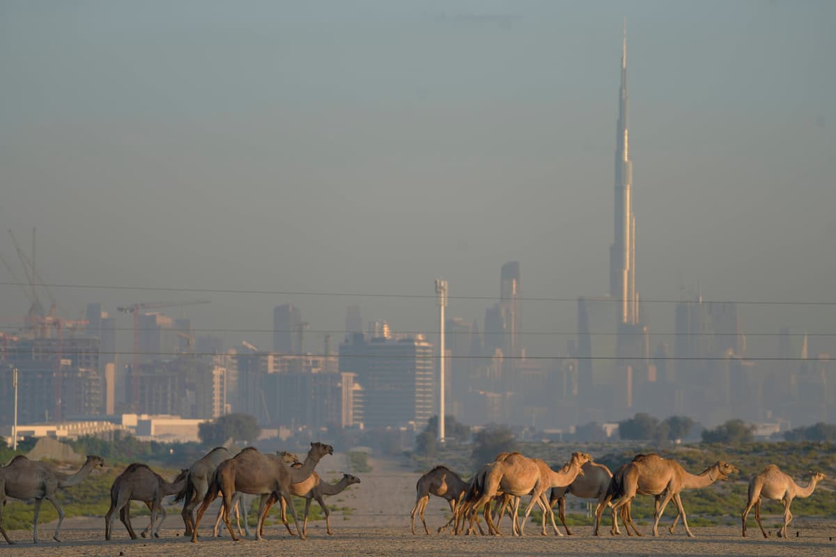 Heat Wave in UAE Reaches Record 50.4 Degrees in May