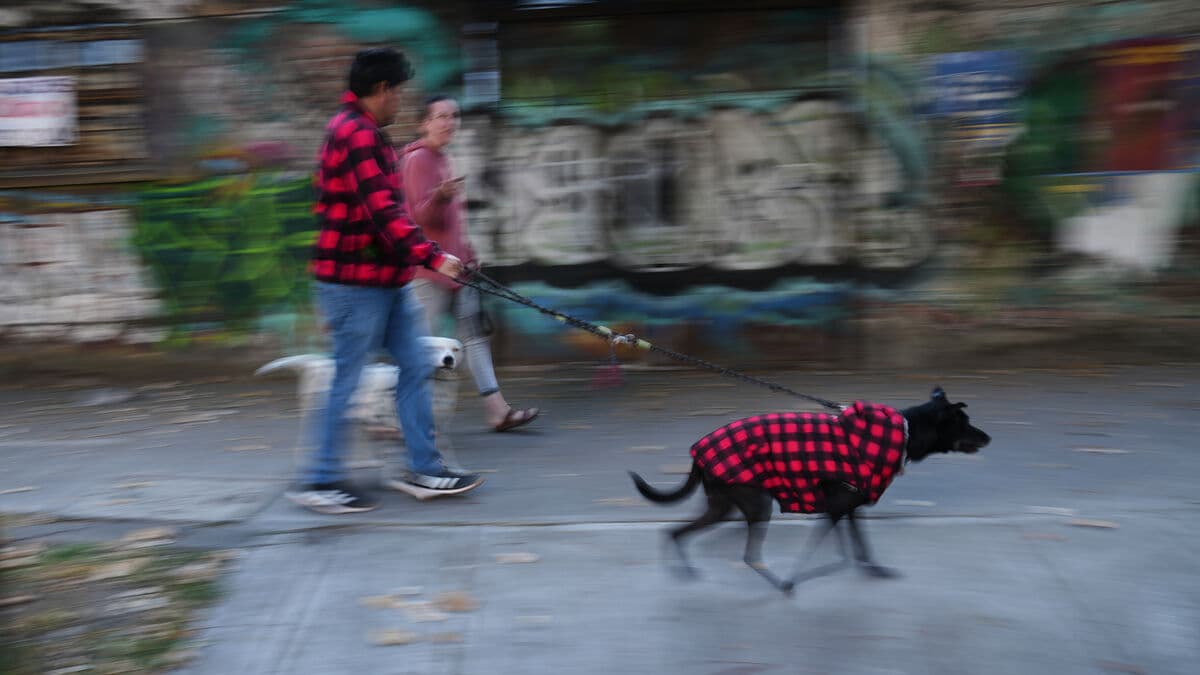 Two dead after 6.5 magnitude earthquake south of Acapulco, Mexico