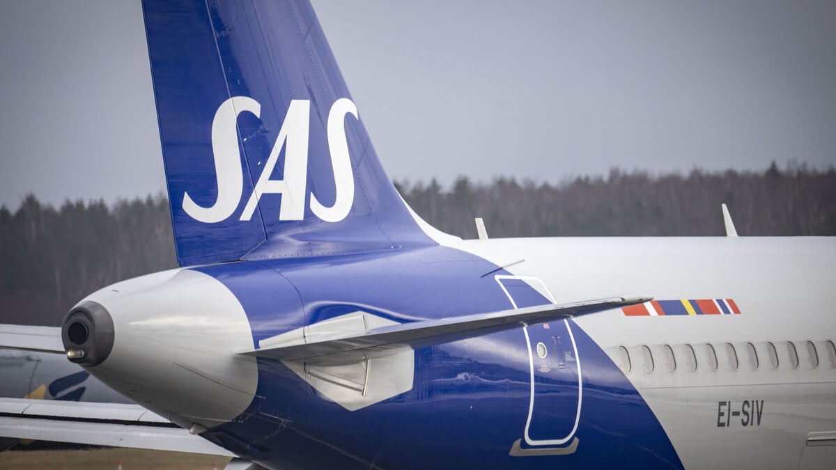 SAS plane had to turn around - mouse on board