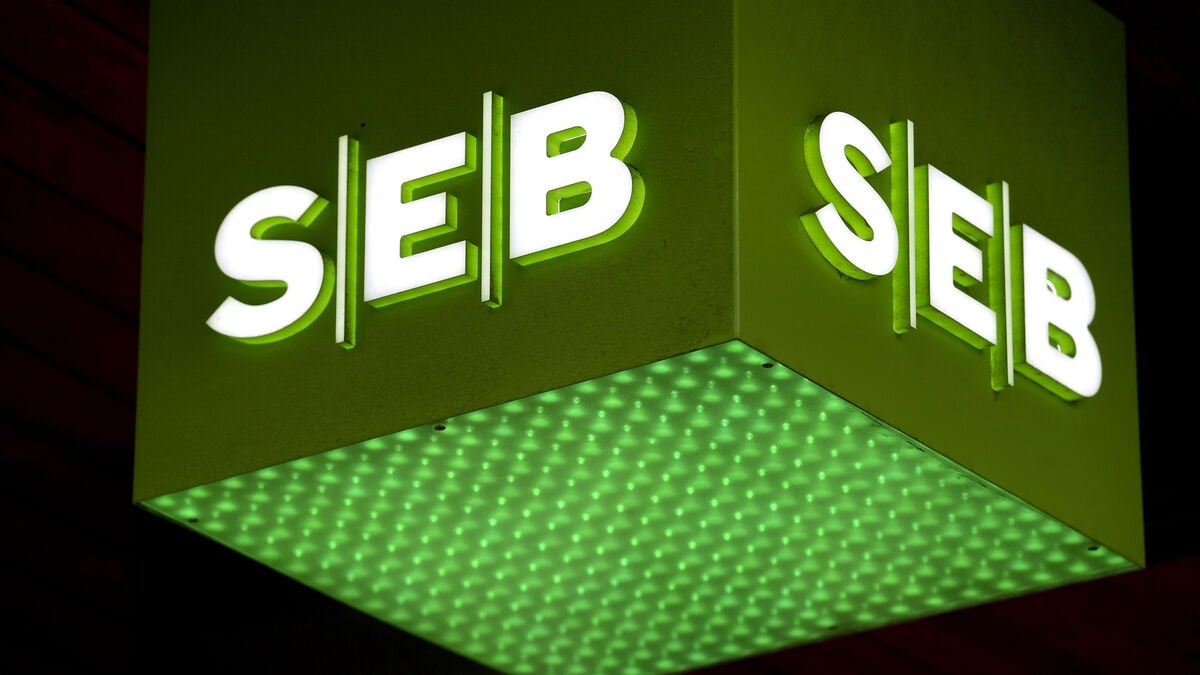 SEB’s Net Interest Income Rises to SEK 10.9 Billion, Slightly Below Forecast