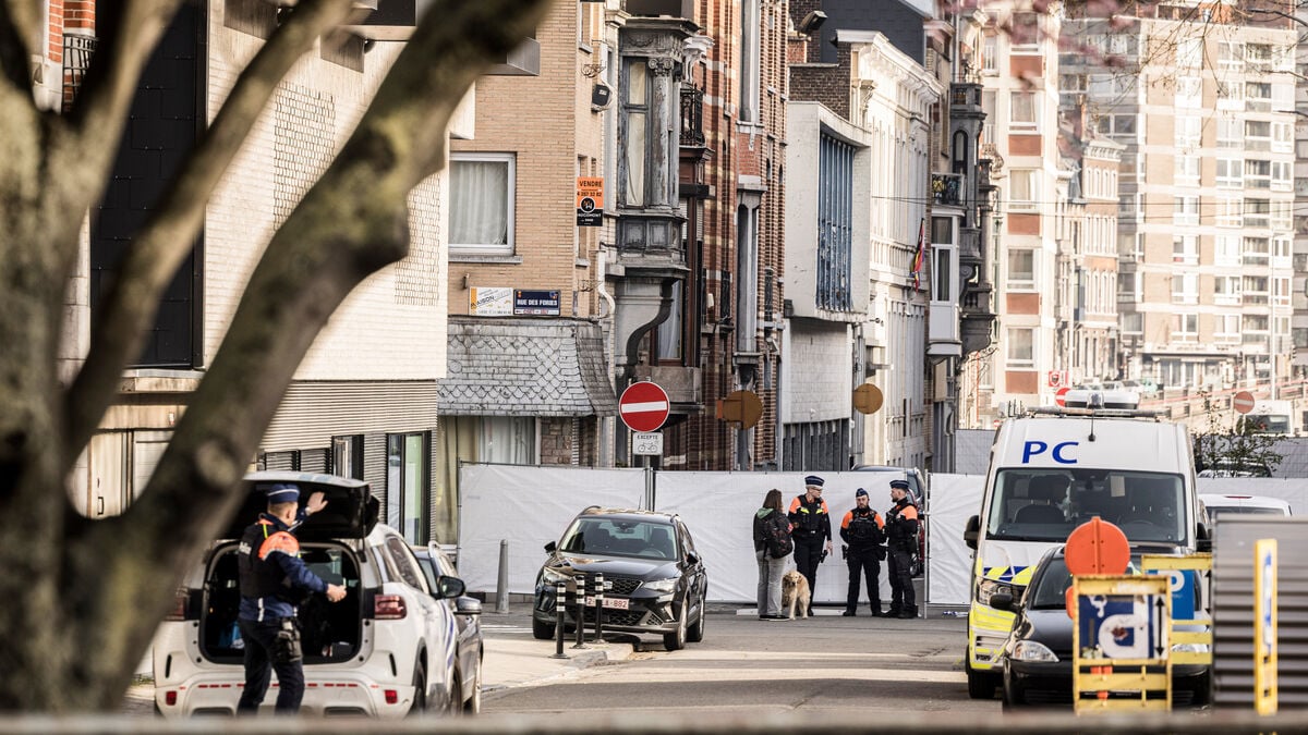 Seven arrested for bomb attack on synagogue in Liège, Belgium