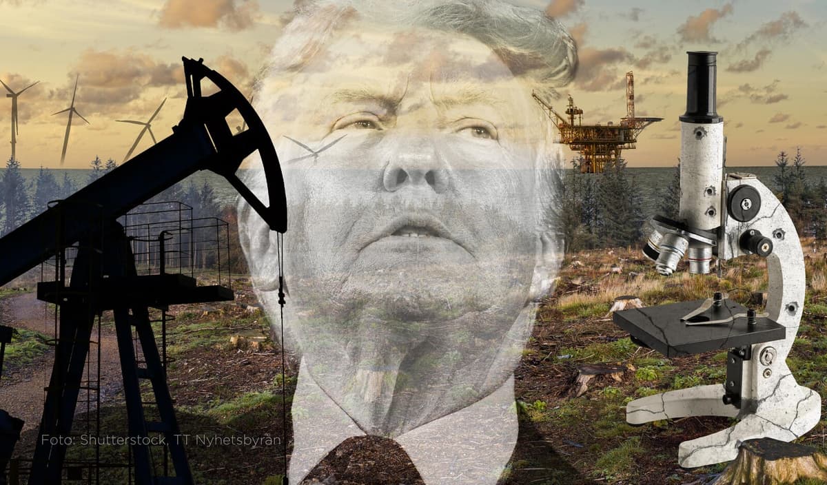 Trump's Environmental Policies Impact Climate and Research