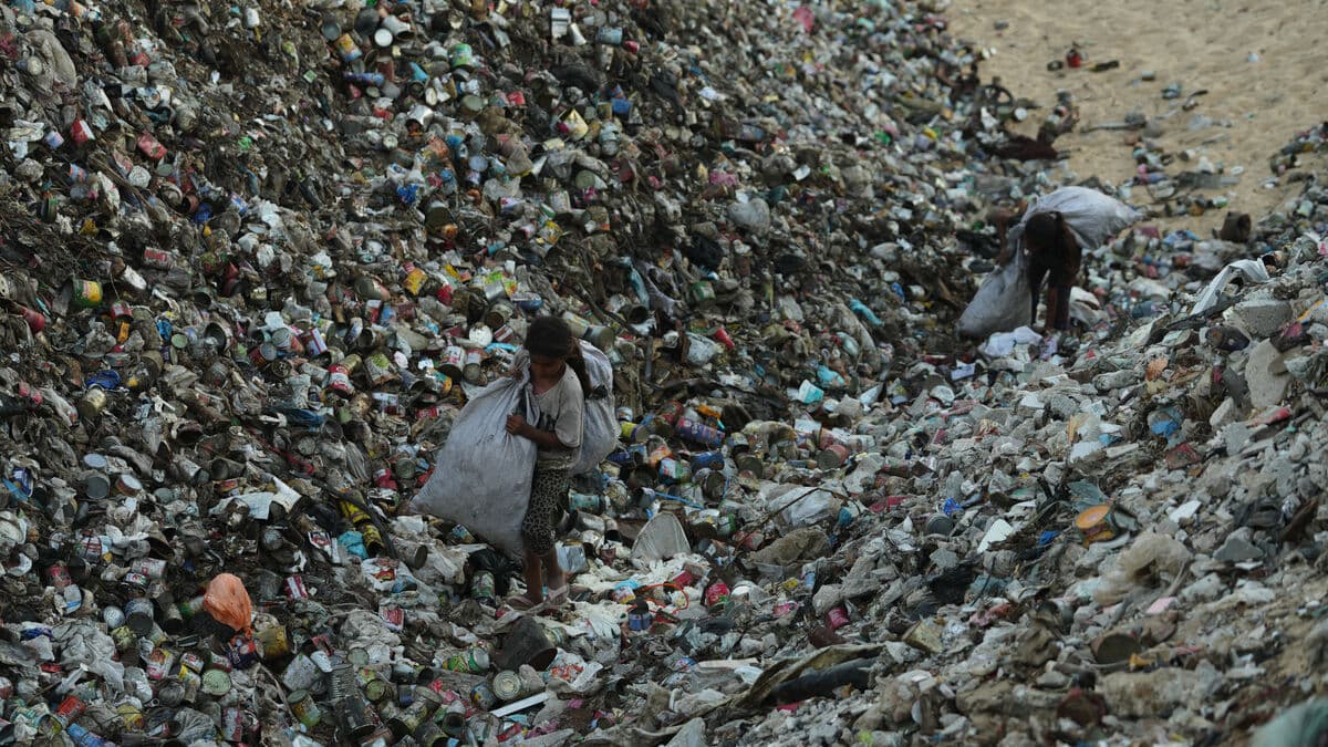 Over 30 Palestinians Killed in Israeli Raids on Gaza