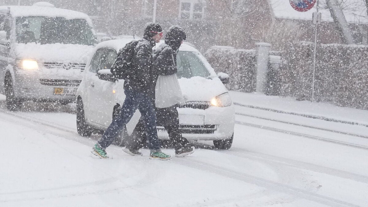 Denmark records coldest January in over 20 years