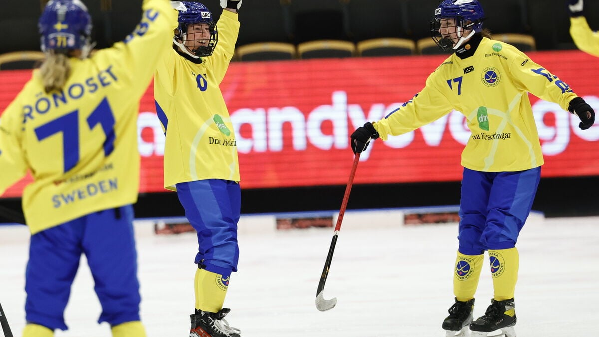Sweden beats Finland 8-0 in Bandy World Championship opening match