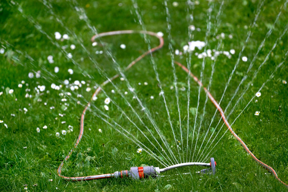 Dry Winter Leaves Southern Sweden with Critically Low Groundwater Levels
