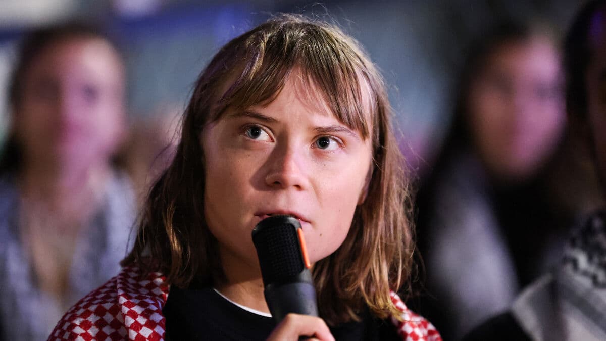 Greta Thunberg Alleges Abuse in