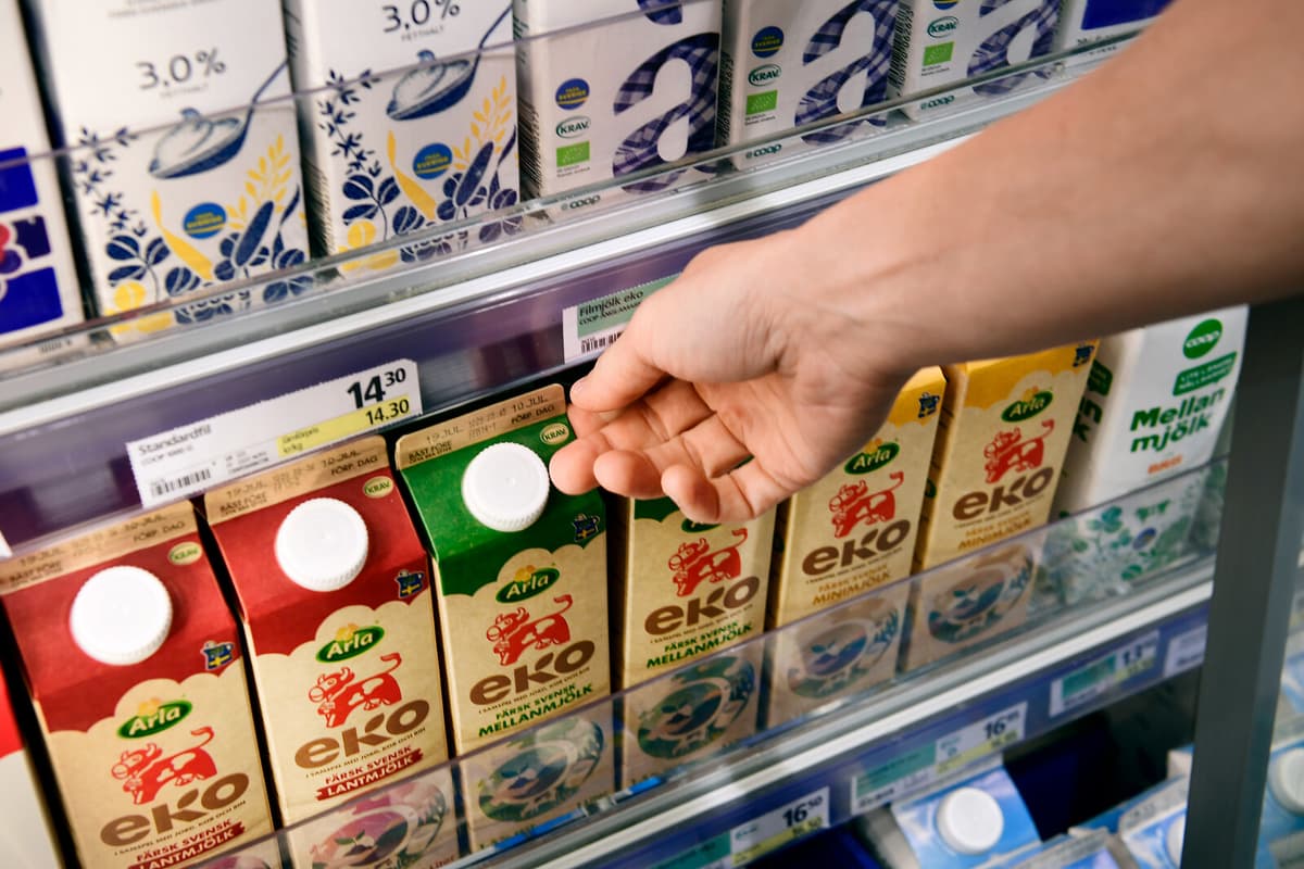 Experts Criticize Halving Food VAT as Ineffective and Costly