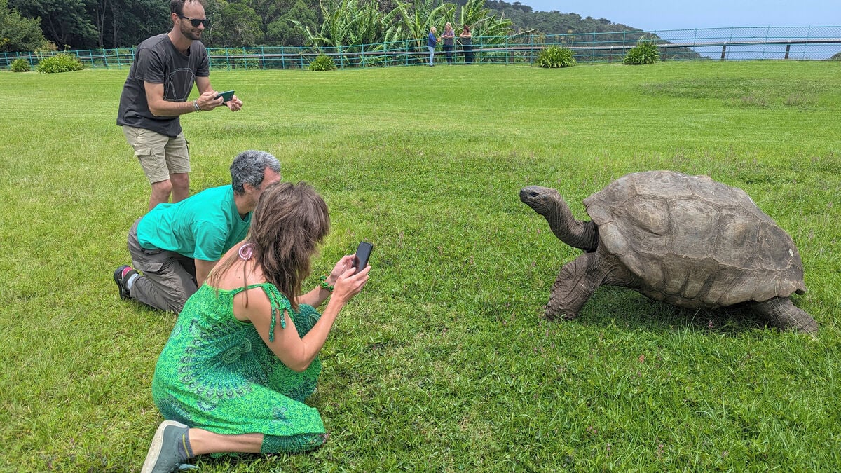 Death rumor denied: 193-year-old tortoise Jonathan is alive