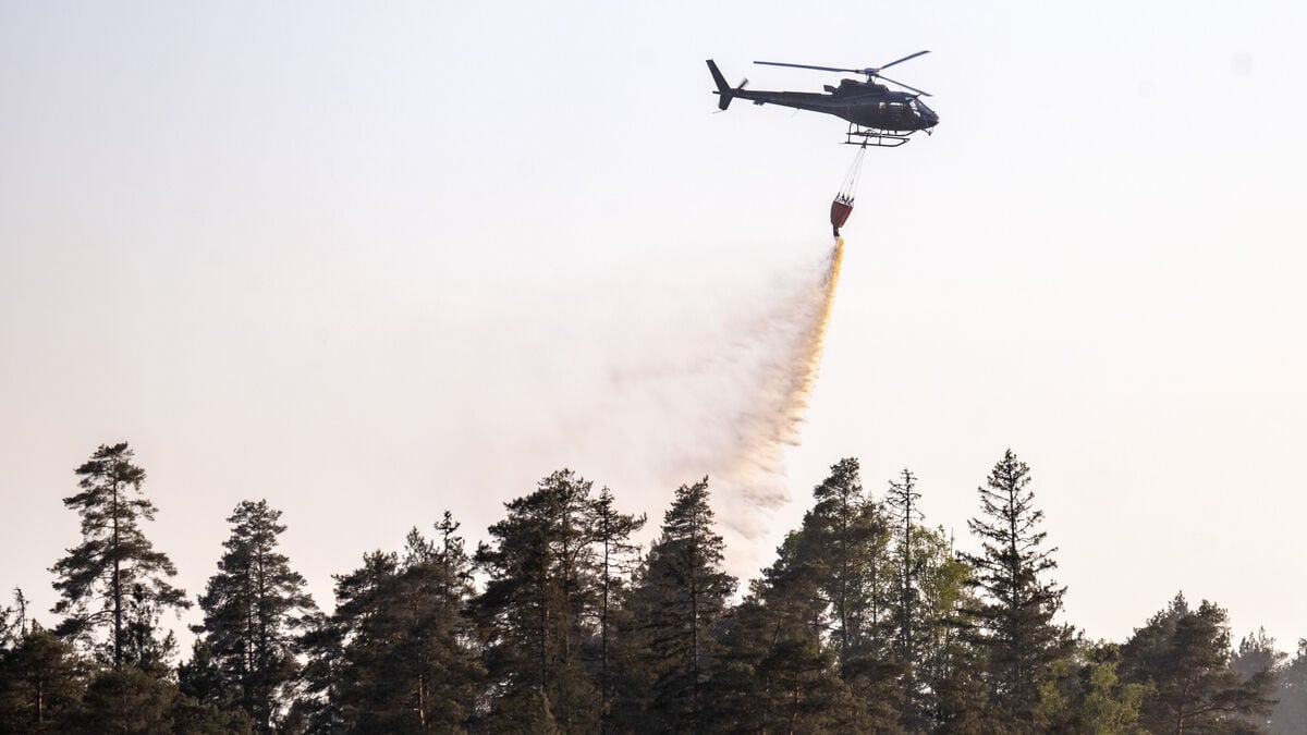 Very high fire risk across large parts of Sweden as hot, dry weather continues