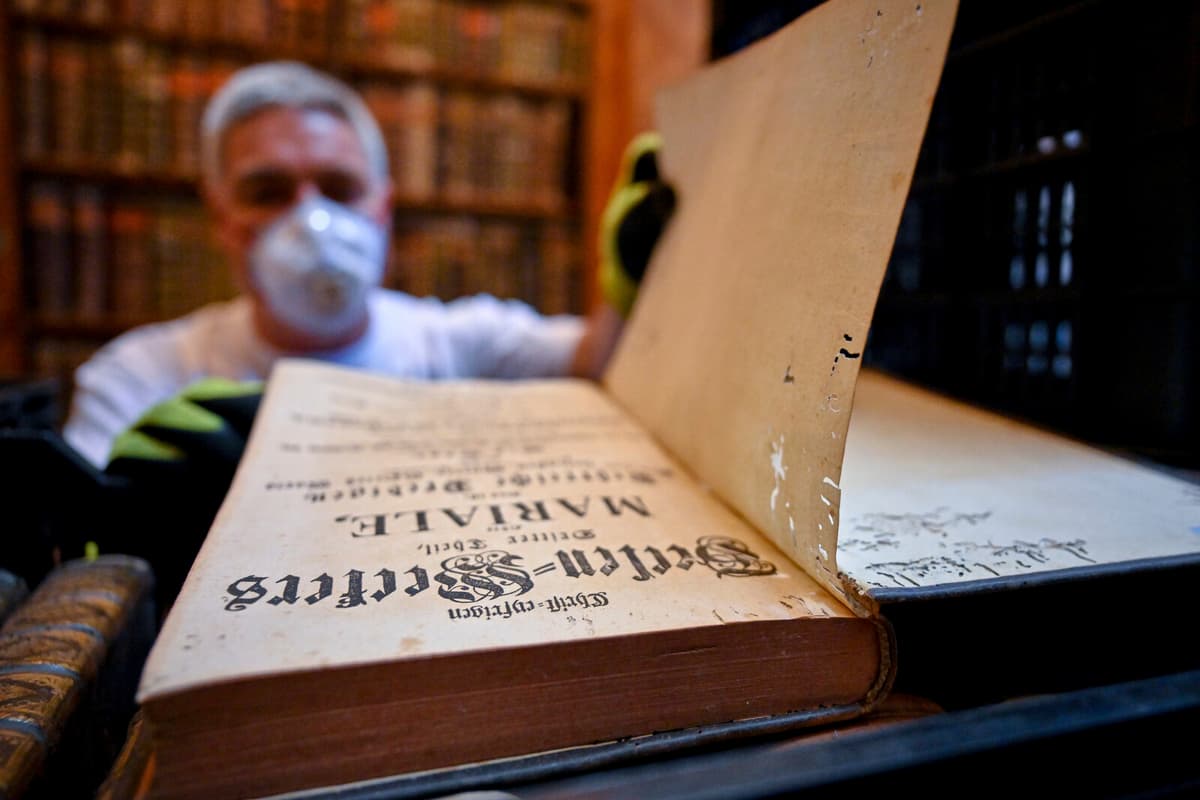 Book-Eating Beetles Threaten Hungary's World Heritage Library