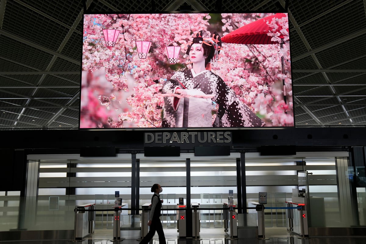 Author's Tsunami Prediction Leads to Tourist Cancellations in Japan