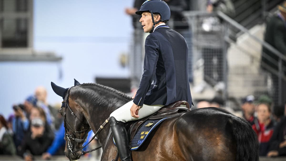 Sweden miss Olympic spot after tough show jumping team final at World Championships