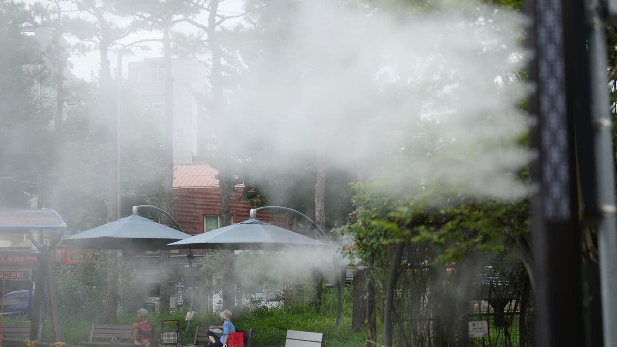 South Korea records highest temperature in more than 100 years as Yangsan hits 42.5C