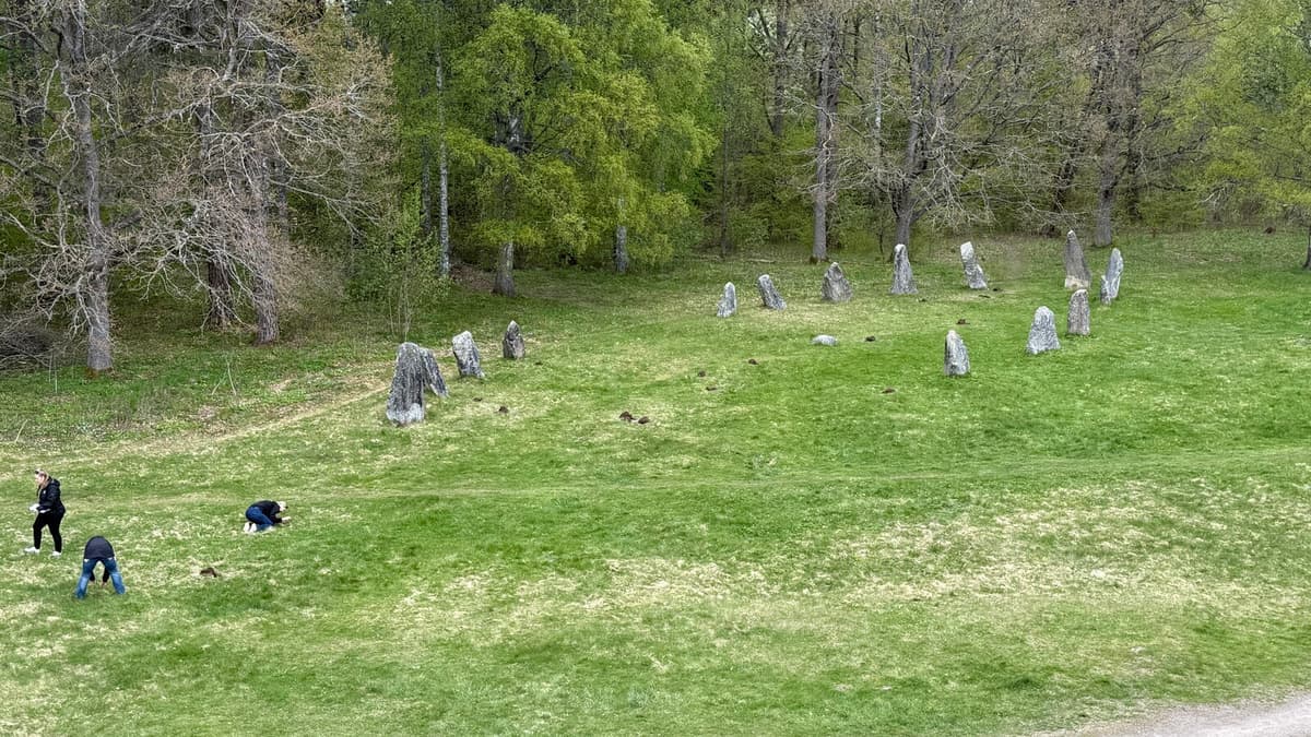 Looting Hits Sweden's Largest Burial Site Anundshög