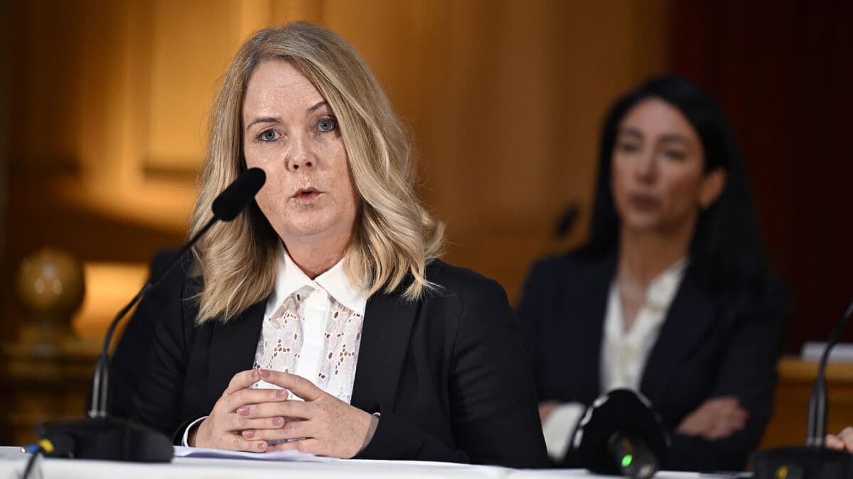 Social Democrats Urge Review of PM's Role in Landerholm Affair