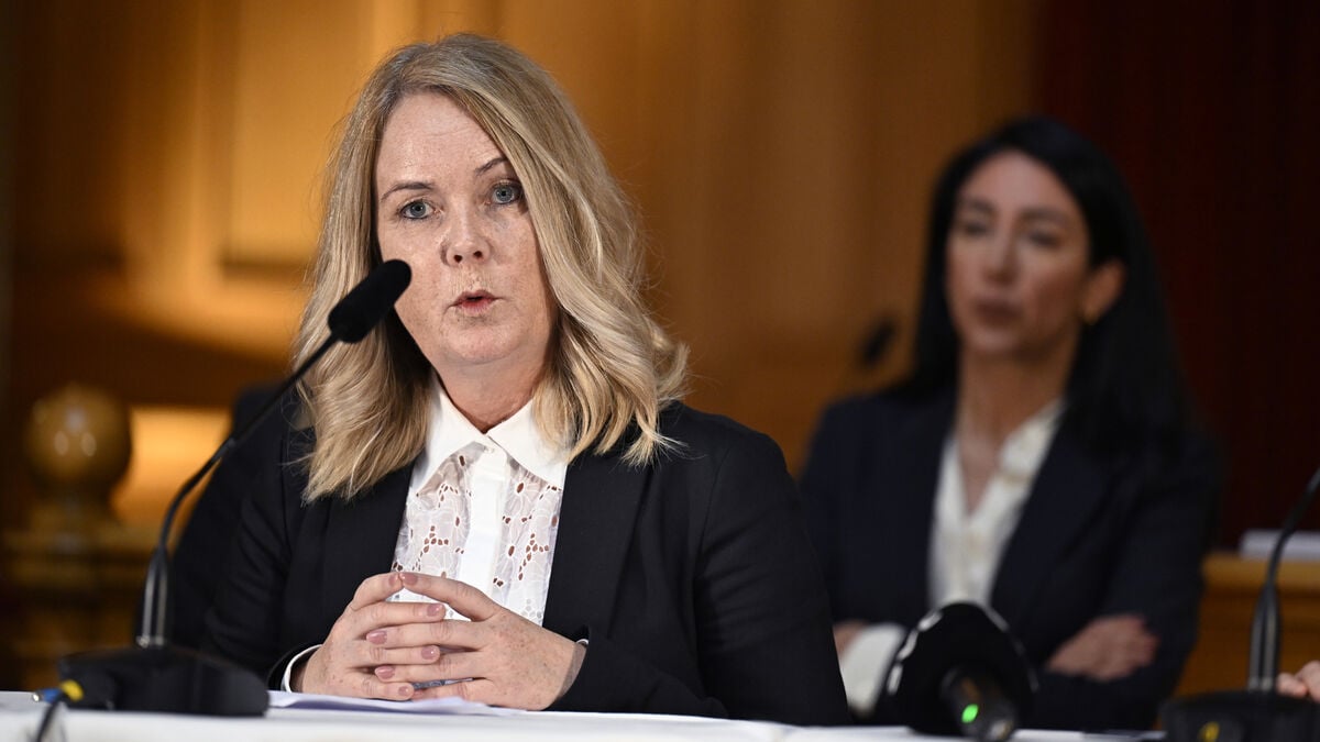 Social Democrats Urge Review of PM's Role in Landerholm Affair