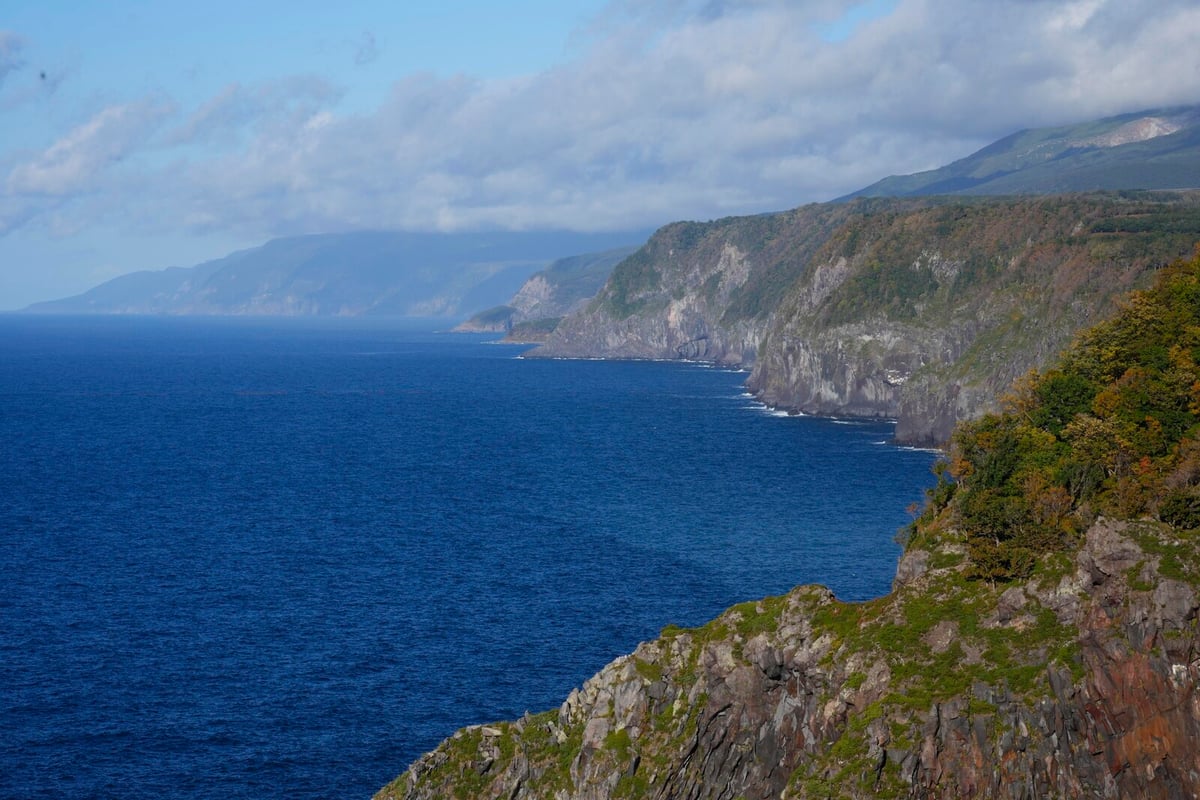 Hiker in Japan Found Dead After Bear Attack on Mount Rausu