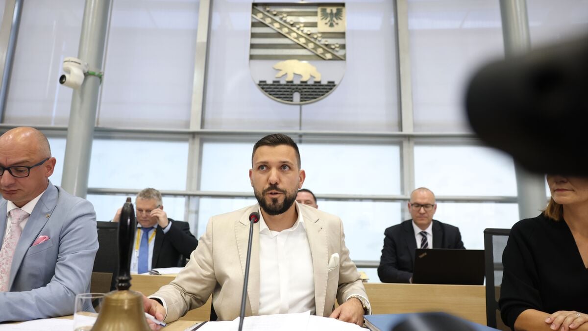 AfD’s Tobias Rausch Becomes First Far-Right State Parliament President in Germany Since World War II