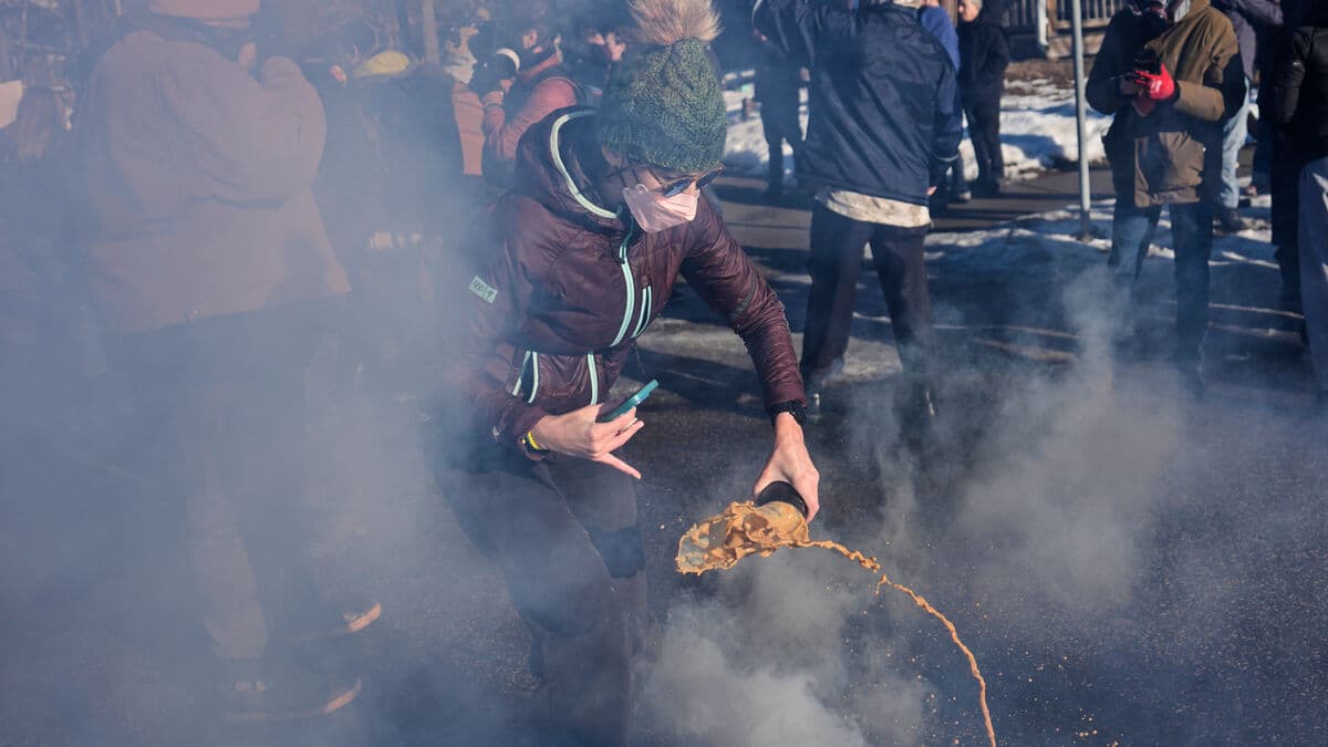 Democrats on the Trump year: Chaos