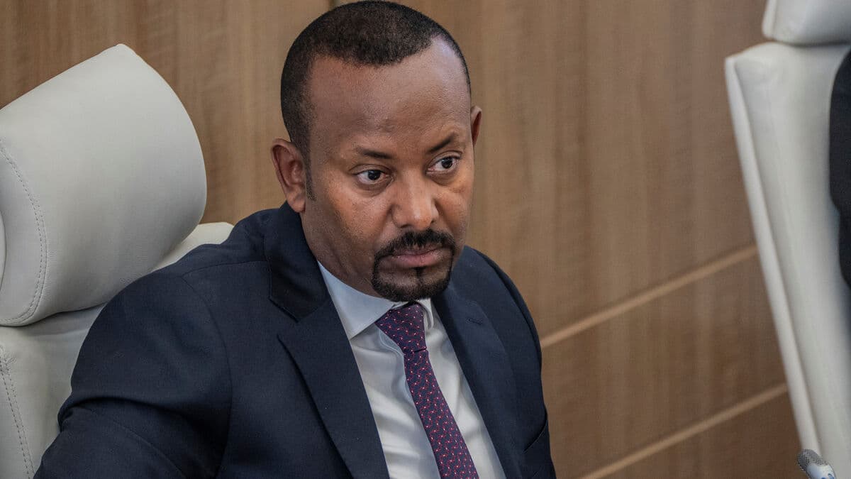 Seven Ethiopian armed groups form alliance against government, TPLF says