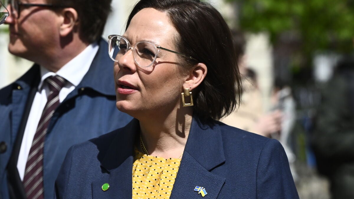 The government does not demand that Israel release Swedish activist