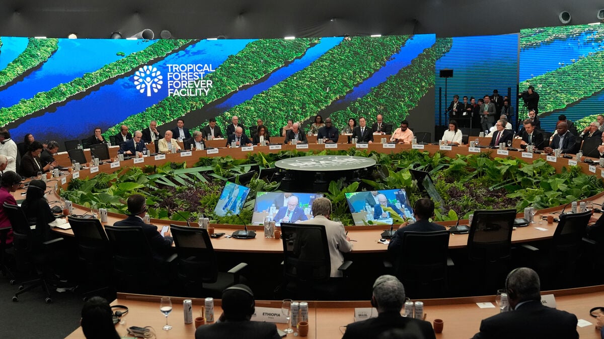 Oil country Norway invests billions in rainforest