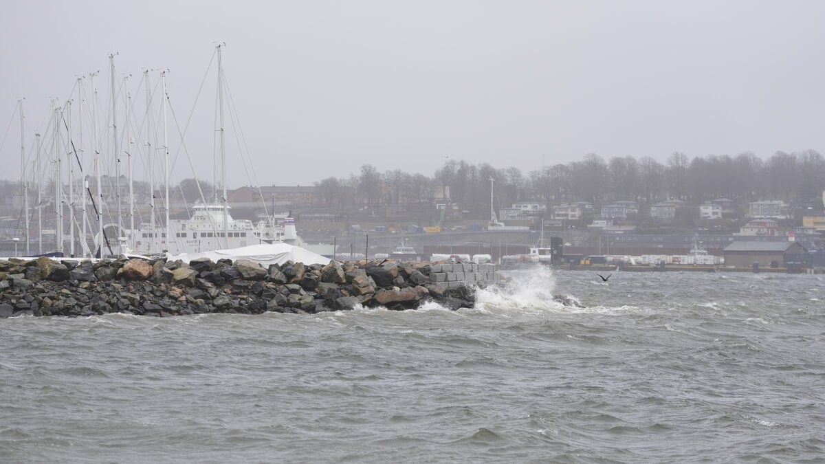 Why Storm Dave is called Dave