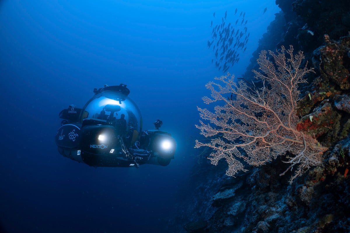 UN Ocean Treaty Ratified to Become Law Next Year
