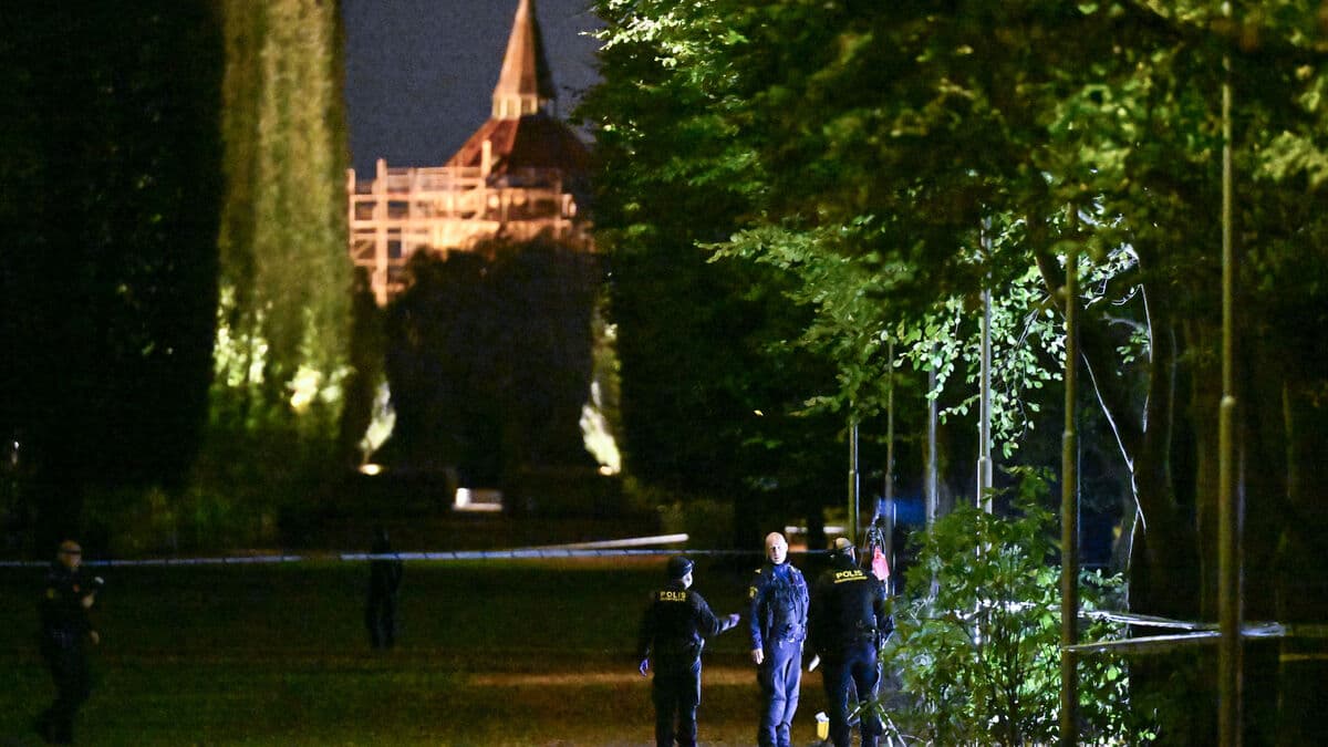 Police Seek Public Tips on Suspected Malmö Assault