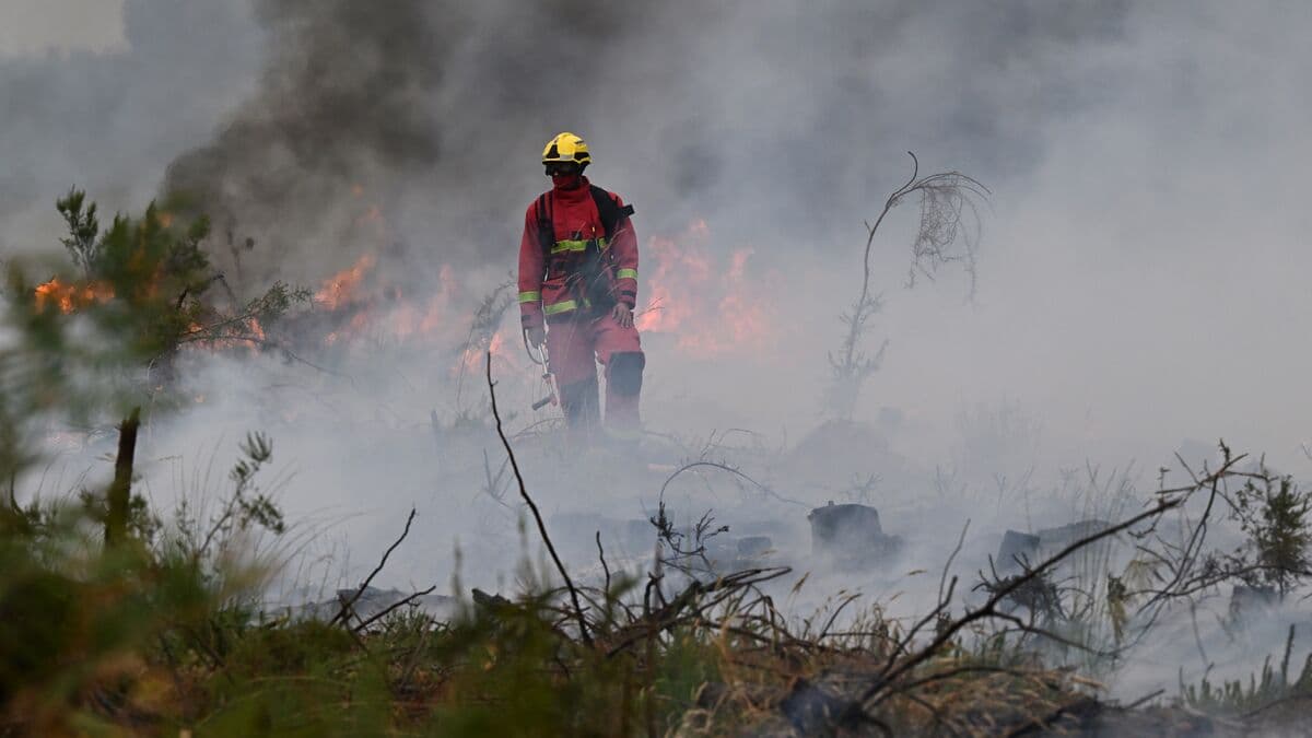 France wildfires rage out of control as 220,000 evacuated, tourists urged to stay away