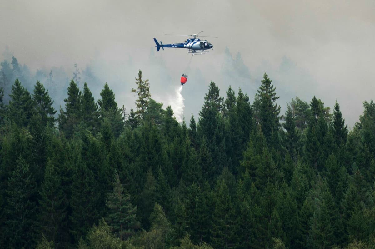 SMHI Warns of High Risk for Grass and Forest Fires Across Sweden