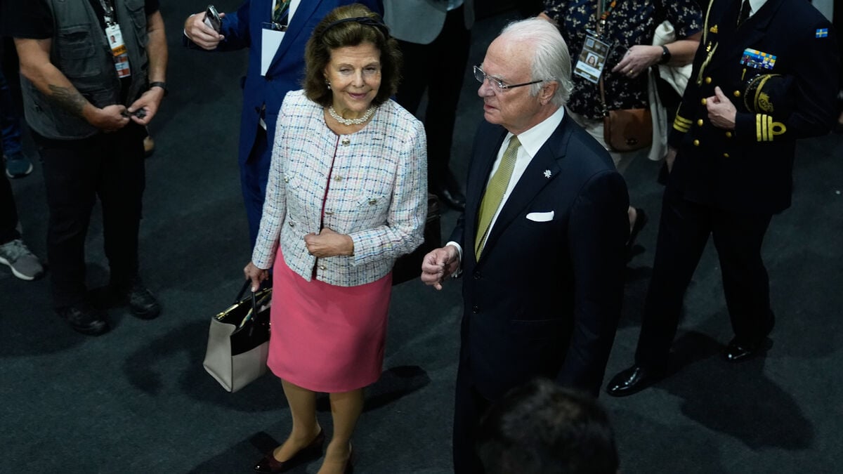 The King's climate action is criticized - "politically"