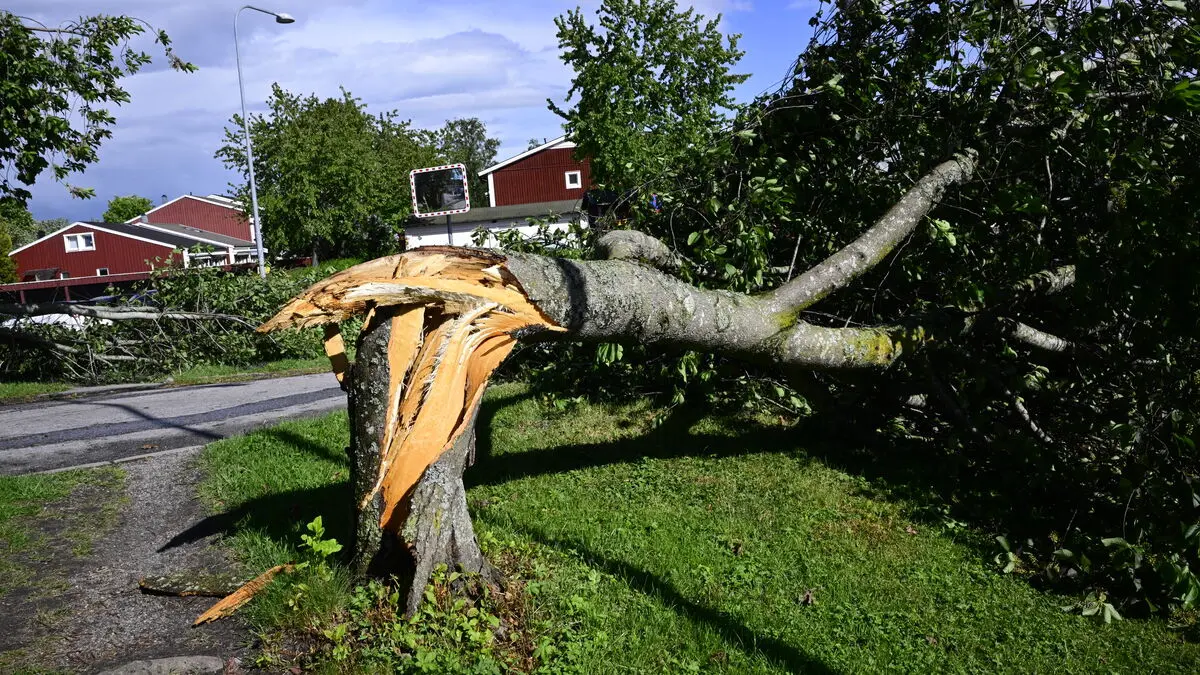 Järvaveckan in Spånga closes due to strong winds