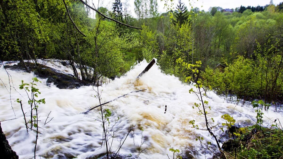 Weak spring flood raises electricity prices this summer