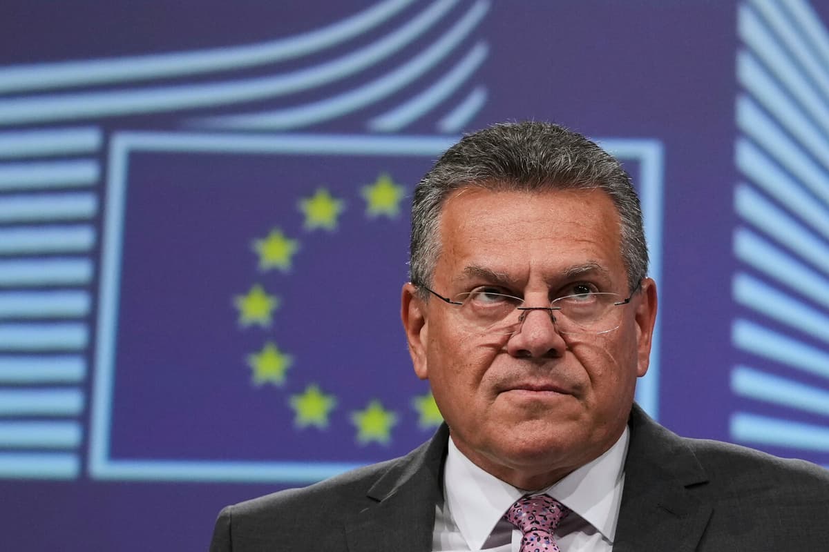 EU Trade Commissioner Welcomes Potential US Tariff Reduction