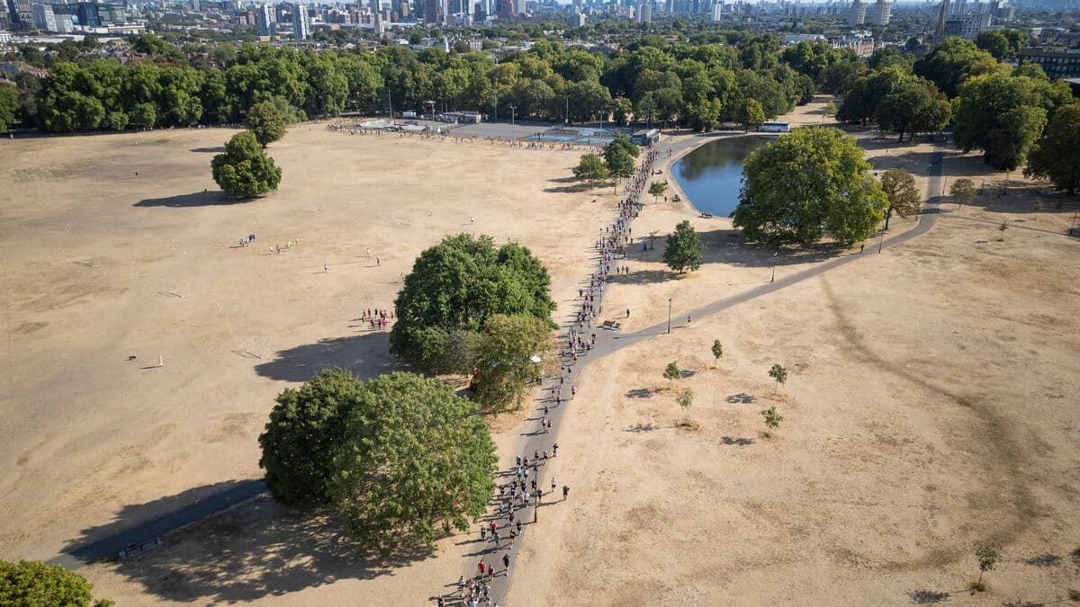 Germany heatwaves have claimed 14,000 lives, RKI says