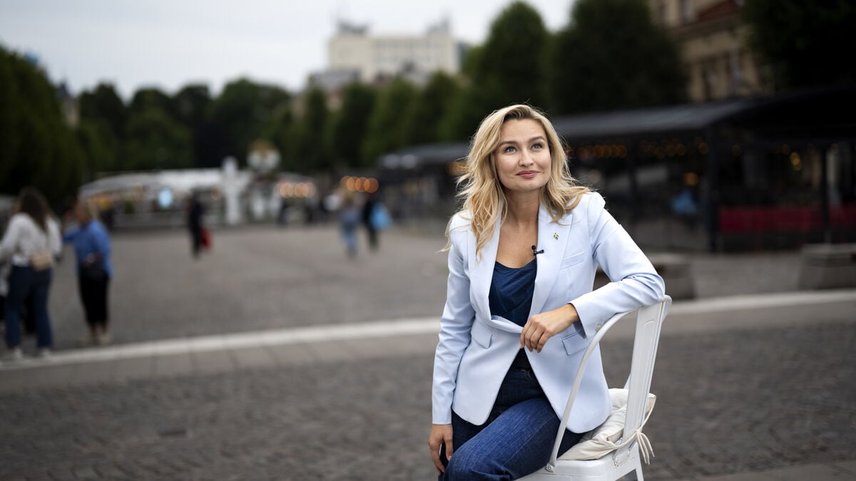 Busch: KD is the hope for the Tidö parties