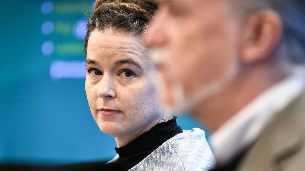 Green Party proposes electric car offensive