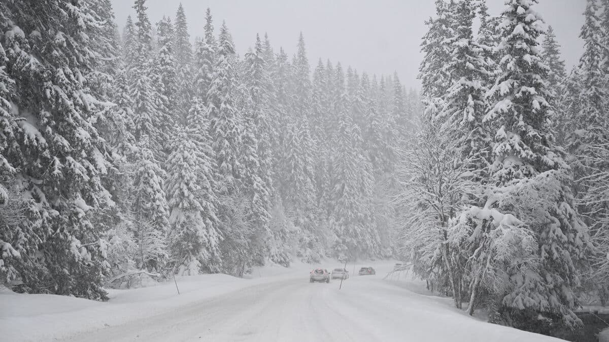 Colder weather replaces the slush