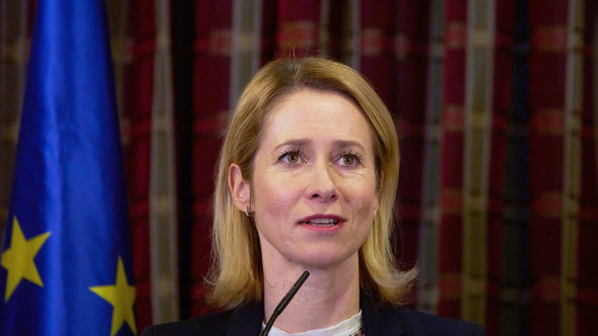Kallas Urges US to Fully Leverage Pressure Tactics on Russia