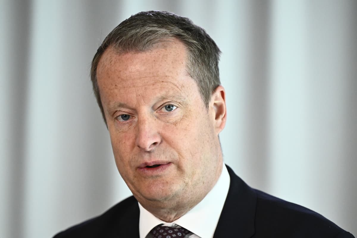 Sweden's Social Democrats Propose Ending Multiple Child Supplement