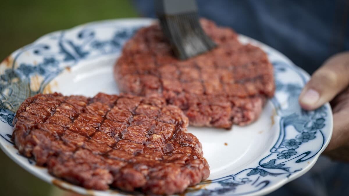 EU Parliament Debates Naming Rights for Vegetarian Burgers