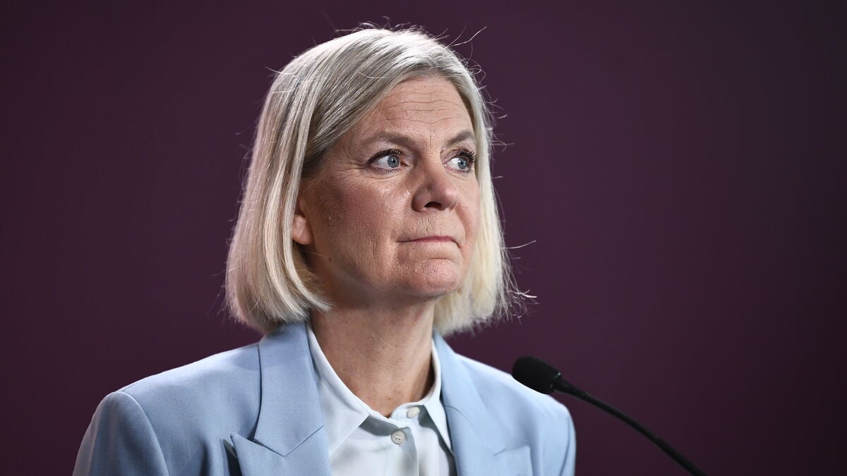 Andersson and Dadgostar cancel speeches after Fagersta attack